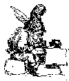 Foreningen Danmarks Folkeminder logo